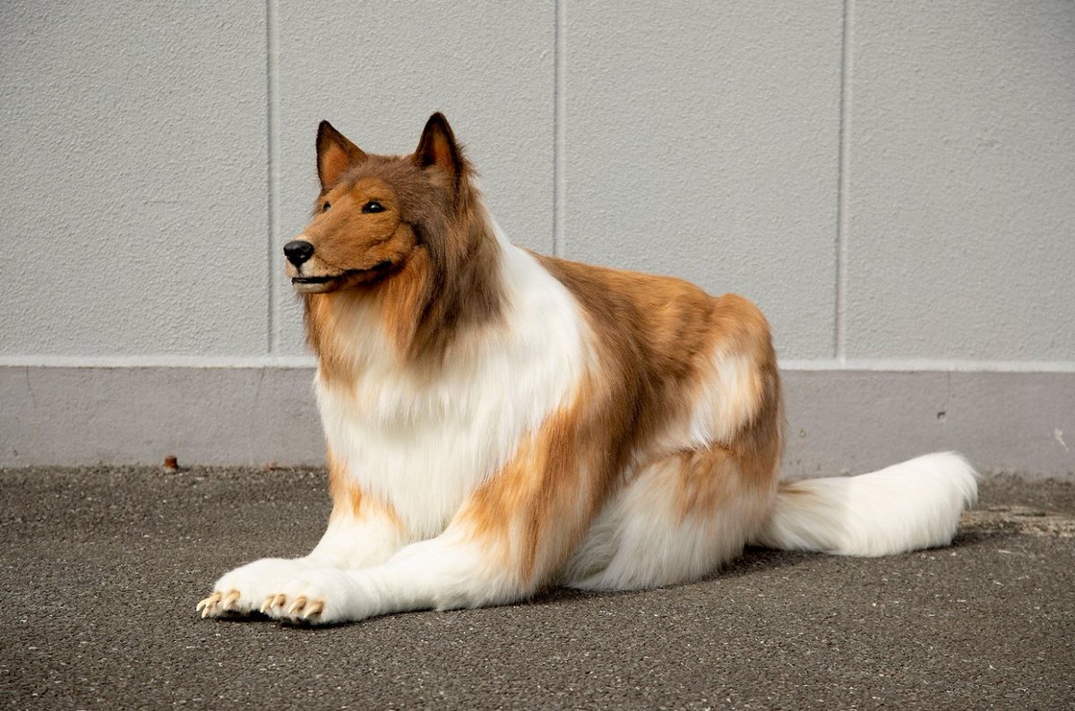 FaresBichard's tweet image. Les gens qui votent le tatou