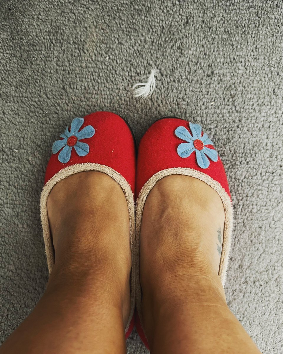 TheLighthouseCe's tweet photo. Todays reason to smileβ¦β¦.my new fab tiny slippers and amazing feather as I looked down #FeathersAppearWhrnAngelsAreNear #Slippers #Padders #Flowers #Feathers xxx https://t.co/vRxiJW6XEI