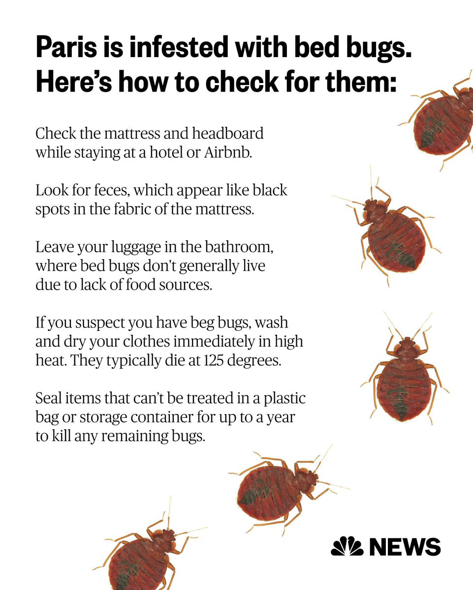 Following news of a bedbug infestation in Paris, people online have been sharing tips on how to spot the creatures and what to do if you find them. nbcnews.app.link/xxkAuuhPEDb