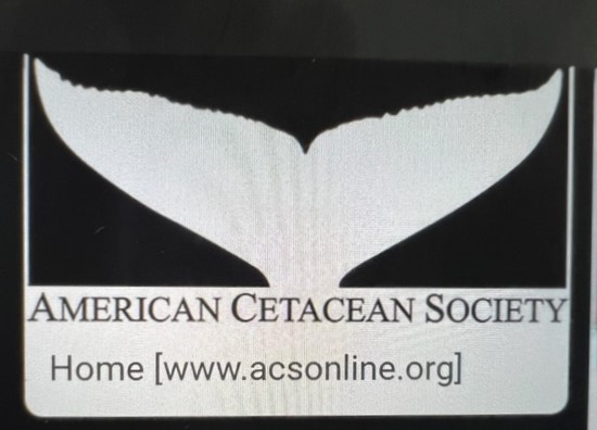 agingexplorer's tweet image. On Thursday October 26, I will speak about my latest book, "THE LAGOON," and show video and images, to the Monterey headquarters chapter of the American Cetacean Society at the Hopkins Marine Station, of Stanford University, 1 20 Ocean View Bl, Pacific Grove, 7:00. Free. to all.