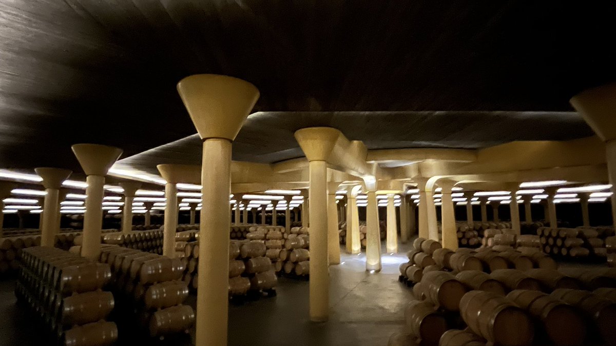 Nice to be in #Logrono with great friend and colleagues in #plantpathology. First time joining at Working Group Integrated Protection in Viticulture <a href="/IOBC_WPRS/">IOBC-WPRS</a> 
Thanks <a href="/biovitis/">BiovitisLab</a>