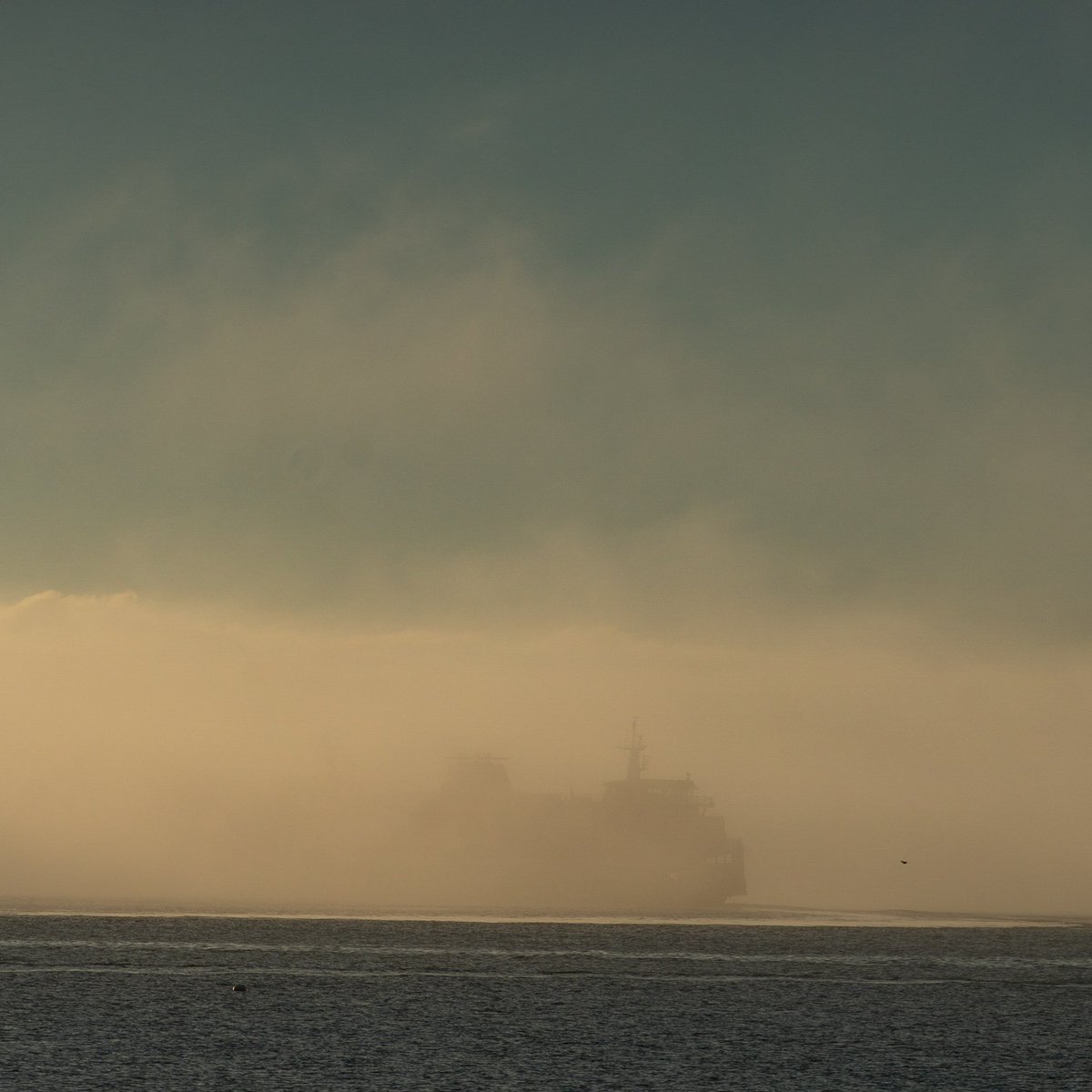 Tony Johnson (@tonyjpix) on Twitter photo Ghost ship
<a href="/wsferries/">Washington State Ferries</a> disappears into the fog this morning as seen from ##bainbridgeIsland #wawx <a href="/NWSSeattle/">NWS Seattle</a> <a href="/komonews/">KOMO News</a> <a href="/KING5Seattle/">KING 5 News</a> <a href="/KIRO7Seattle/">KIRO 7</a> Ghost ship
<a href="/wsferries/">Washington State Ferries</a> disappears into the fog this morning as seen from ##bainbridgeIsland #wawx <a href="/NWSSeattle/">NWS Seattle</a> <a href="/komonews/">KOMO News</a> <a href="/KING5Seattle/">KING 5 News</a> <a href="/KIRO7Seattle/">KIRO 7</a>
