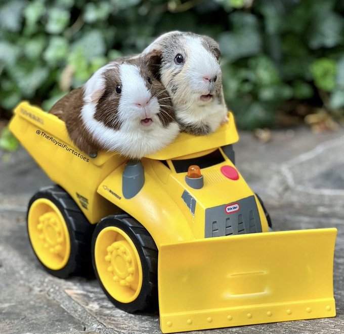 NO WAY their little asses are OSHA certified https://t.co/EmUiE1mRJj