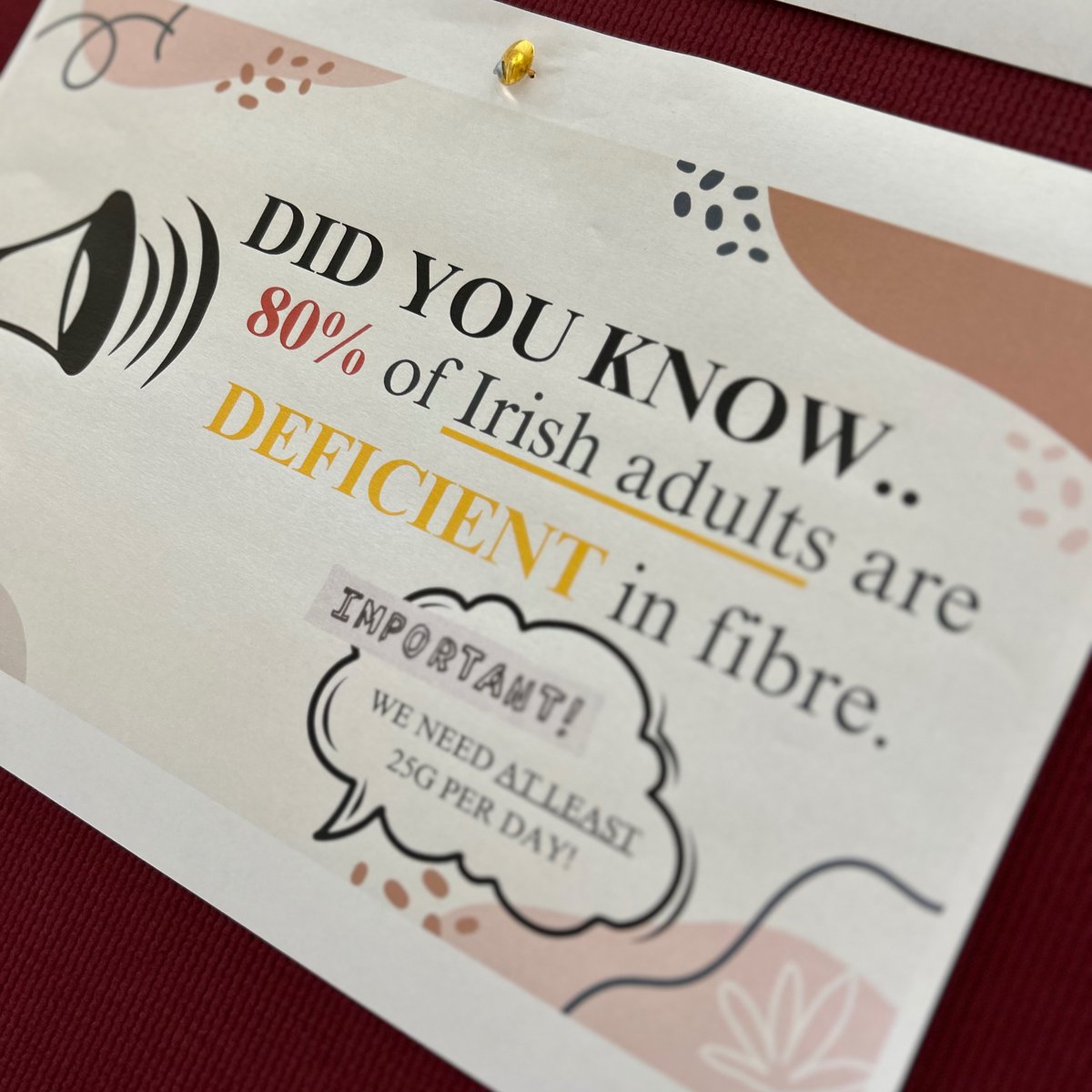 aoifegillane's tweet photo. Fantastic day today in @ATU_GalwayCity getting the opportunity to share our knowledge on the topic "Fabulous Fibre" with the students and staff of ATU Galway. 

Did you know that 80% of Irish adults are deficient in fibre? 

#nutrition #dietaryfibre #fibre #guthealth https://t.co/QNYz4noEDl