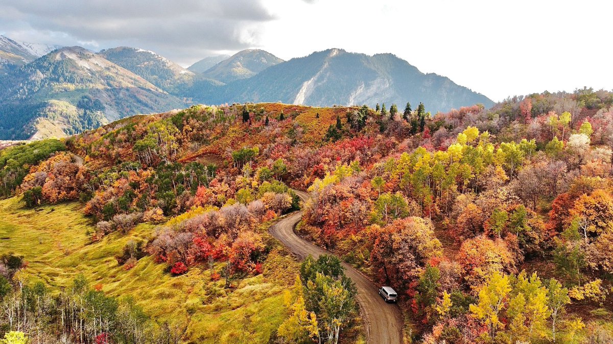 KUTV2News's tweet photo. 🍂 Utah's natural beauty leaves US speechless! 😍🌄 Captured this stunning view from Kyhv Peak Road in Provo Canyon!

📍: Provo, Utah
📸: Katie Bitter, via https://t.co/rfXQN8Df2K https://t.co/uNgC1jqDLh