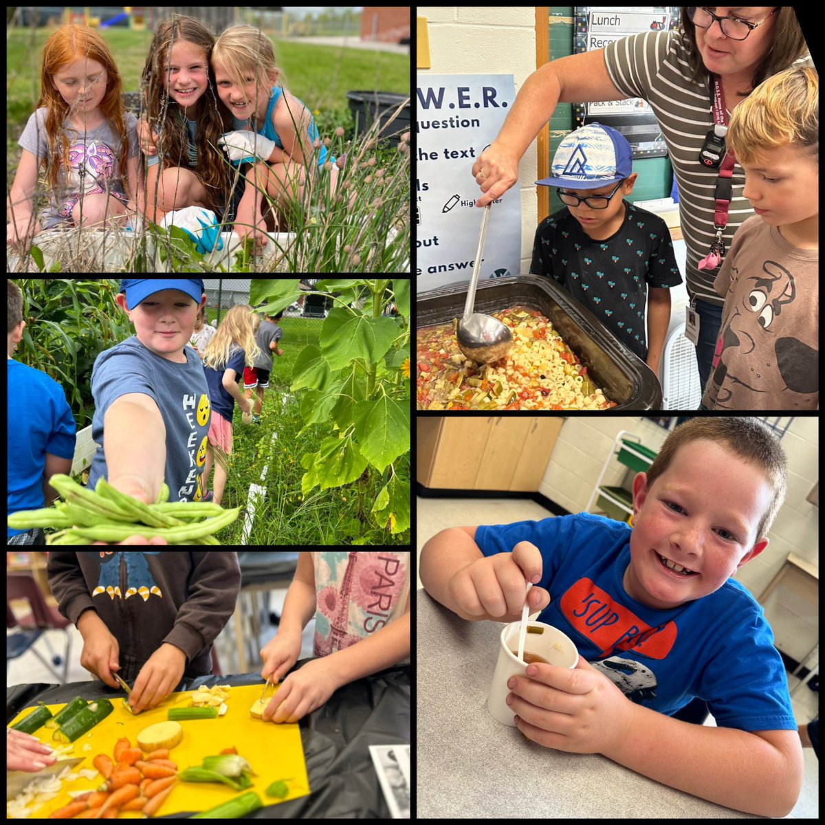 Brigden Public School tweet media