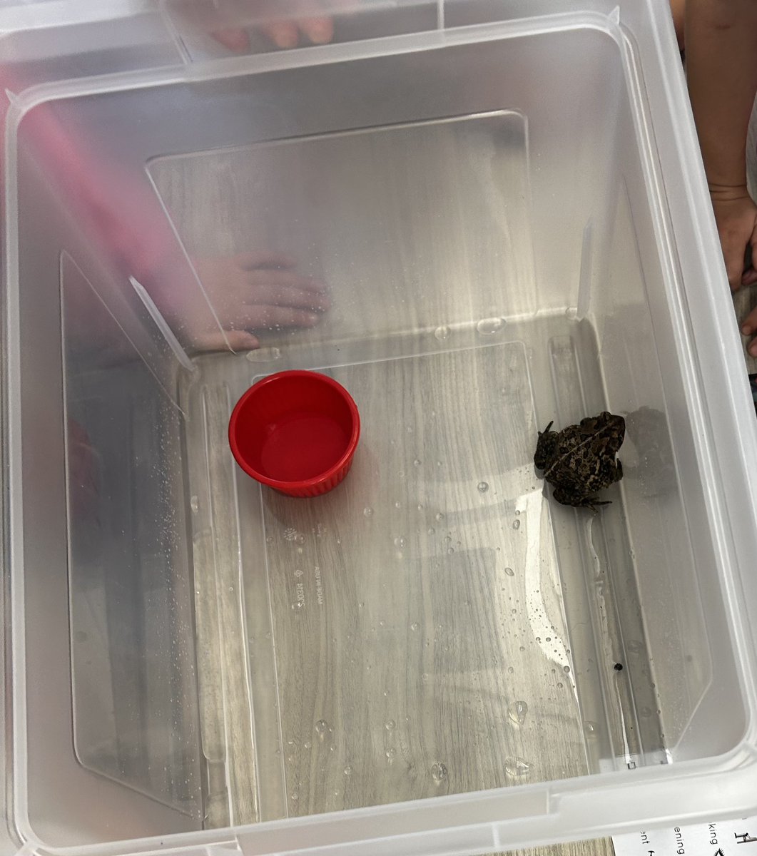 Nikhat Fatima tweet media