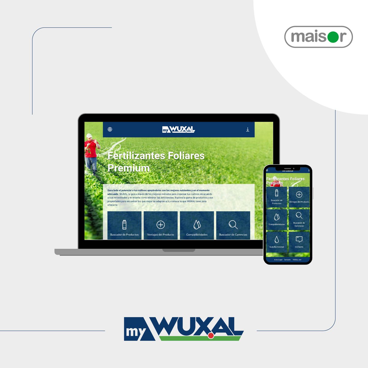 📲 ¿Ya conocés la plataforma #myWuxal de Wuxal?

¡Sumado a la información en nuestra web, podés informarte de toda nuestra línea de #fertilizantes #foliares, ventajas, compatibilidades... y más! 👨‍💻

¡Entrá en mywuxal.com/uy! 🇩🇪