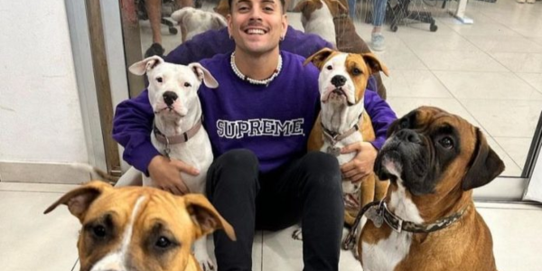 🎙️ Salvaje ataque de una jauría de perros en un barrio privado de Tigre: Mataron a una perrita e hirieron a la dueña

Carla, dueña de la perrita asesinada, habló con <a href="/marianoobarrio/">Mariano Obarrio</a> 

®️7⃣7⃣0⃣ ¡Te Suena!
r770.com.ar/salvaje-ataque…