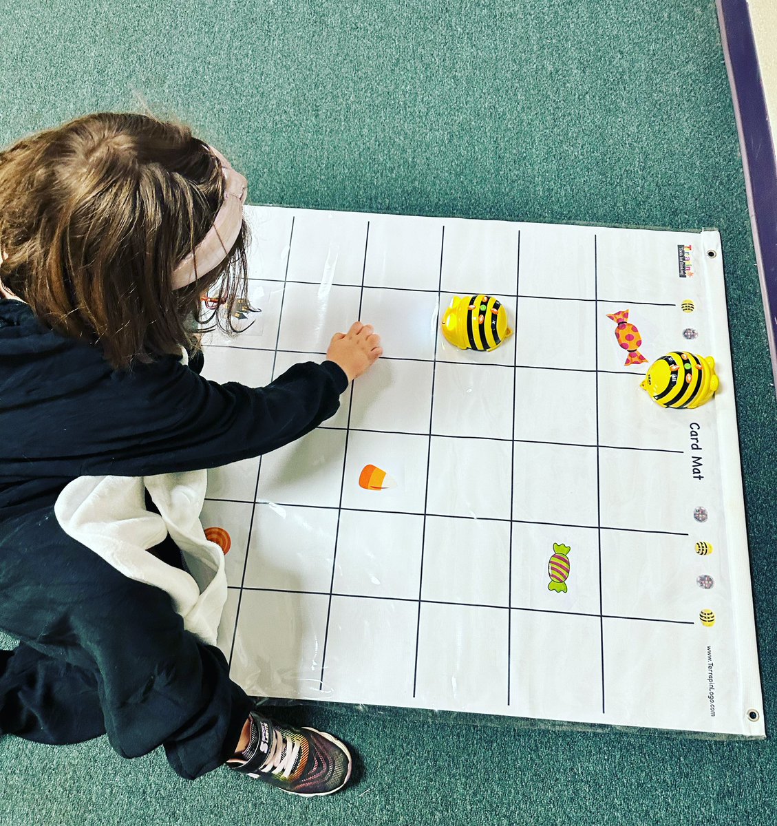 Ashley Haynes, M. Ed. tweet media