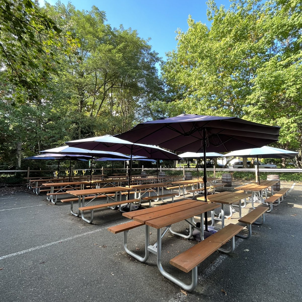 postdocbrewing's tweet photo. The leaves are starting to change here at the park, but our beer garden won’t. 🍁
Come enjoy the sunshine tonight while we still can! 🍻
#PostdocBrewing #PostdocLife #IndieBeer https://t.co/Liag98zUNC