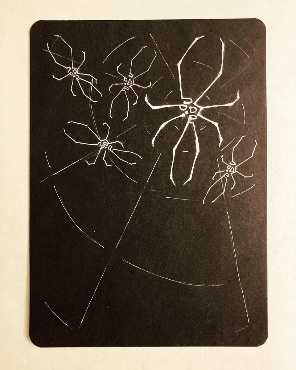 minisiegfried tweet media