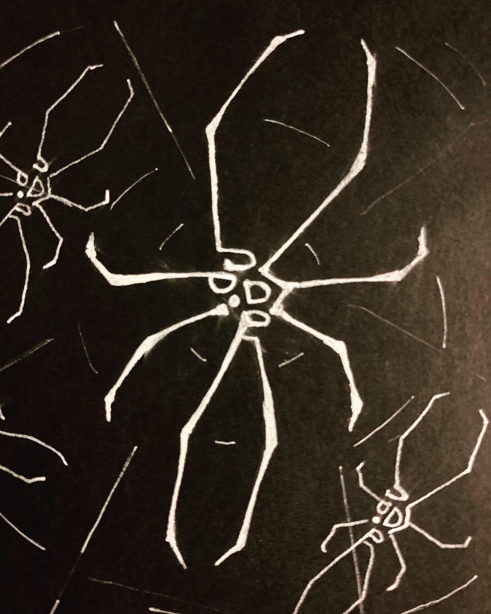 minisiegfried tweet media