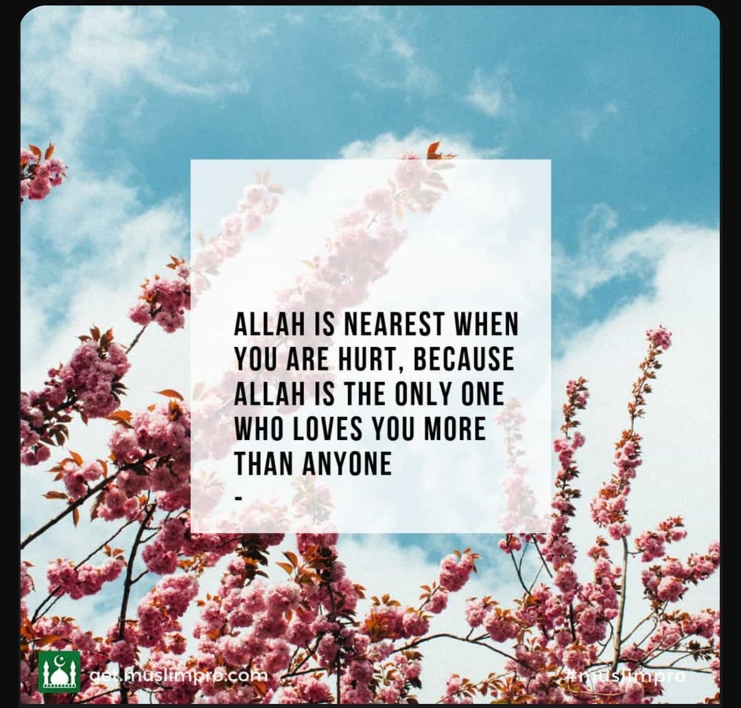 biranzi ibrahim (@ibrabinz) on Twitter photo 