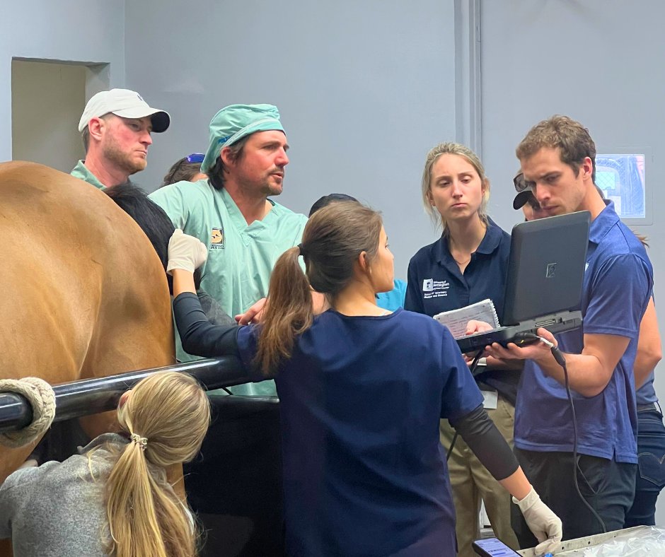 EquineSoftware's tweet image. Did you know? Our company emerged on the scene in 2006. It all started with the leadership of Dr. Greg Andrews, an equine vet with an impressive 35+ years of experience.

Follow us!
@EquineMediRec @cassadolvet @Vet_Software 

#BusinessInfusions #EquineHealth #EquineVeterinarian