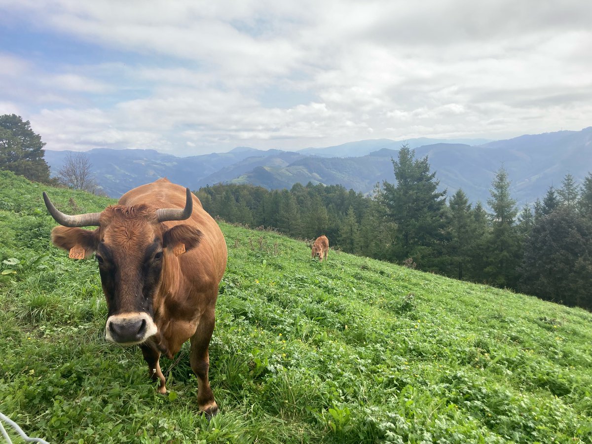 #ploneconf2023 #PrettyEibar