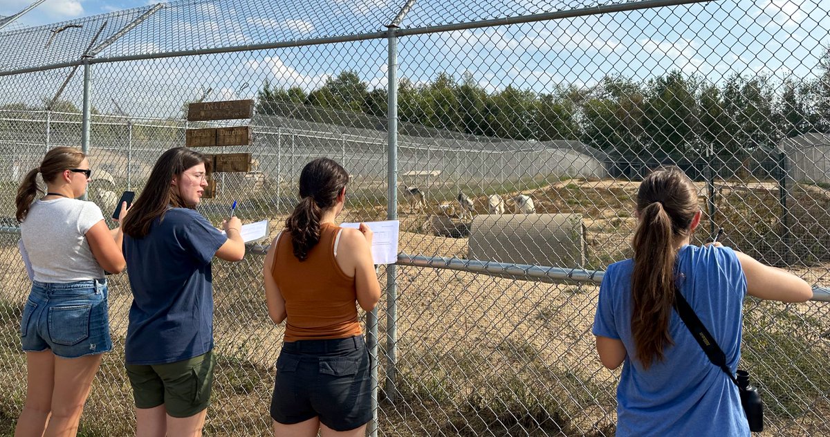 StotraChakraba2's tweet photo. #heymac It was a howling good time to have my #AnimBehav course @Macalester practice scan and focal sampling on semi-wild wolves 🤩🐺 The last hurrah of warm weather before we cliff-dive 🥶 #AcademicChatter #animalbehaviorlab #sciencetwitter https://t.co/jdQeR9c6a0