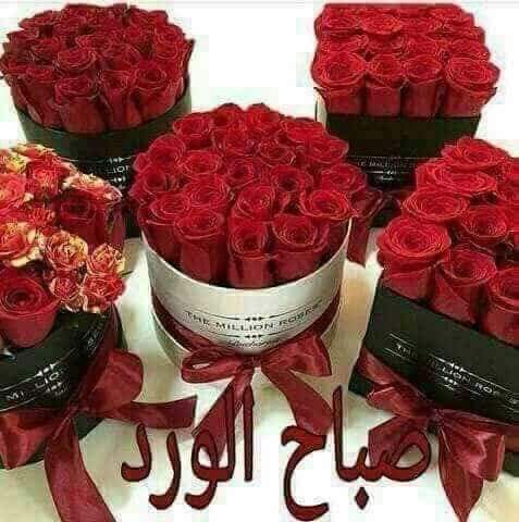 الدلوعه الهام (@lhm364744773550) on Twitter photo 