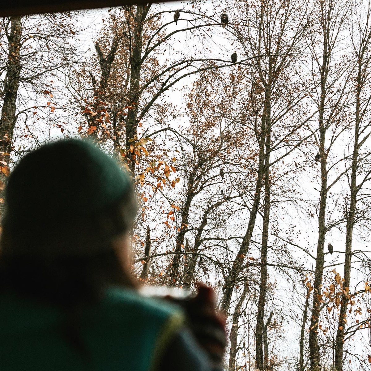 harrisontourism's tweet photo. Embark on a picturesque journey along the Eagle Viewing Trail at Sandpiper Resort! For more details, visit @RowenasInn 🦅🌲🌊

Discover all you need to know about Season of the Wild by visiting https://t.co/GTNB5gzrkC!

#JustUpTheRoad #HarrisonRiverValley #SeasonOfTheWild https://t.co/2NTL5D9U7r