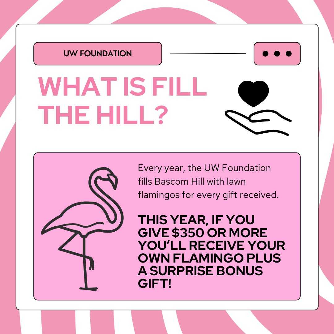 Help support our equity-focused scholarship and service programs. Consider giving to the DDEEA this Fill the Hill. #UWFlamingos bit.ly/3Q0SQfd