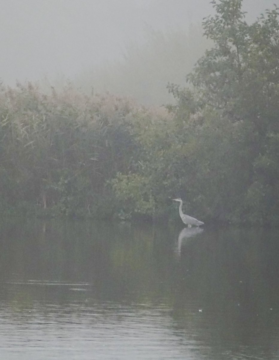nomadicmark's tweet image. Five years ago today. Fleet Pond, Hampshire. 
Should really dust off my camera again, kind of enjoyed getting out and about.