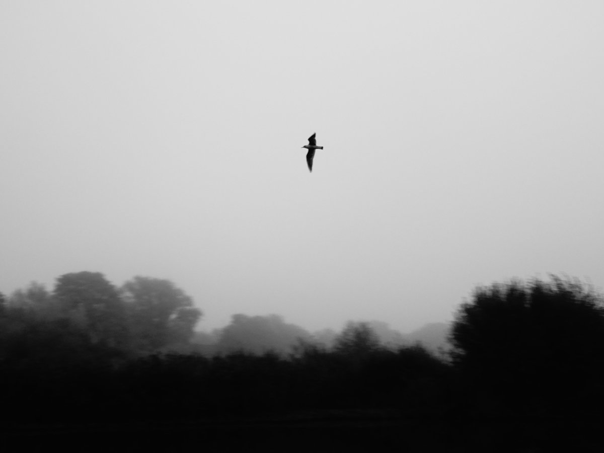 nomadicmark's tweet image. Five years ago today. Fleet Pond, Hampshire. 
Should really dust off my camera again, kind of enjoyed getting out and about.
