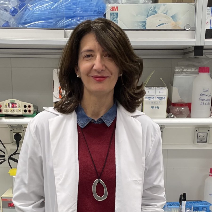 InmunologiaUP's tweet photo. Contaremos con la exposición de nuestros reconocidos invitados y colaboradores internacionales de la Facultad de Medicina de la Universidad Autónoma de Madrid, la Dra. Concepción Peiró, el Dr. Carlos Sánchez Ferrer y la Dra. Maria Isabel Sanchez. https://t.co/vWlnBsoBaR