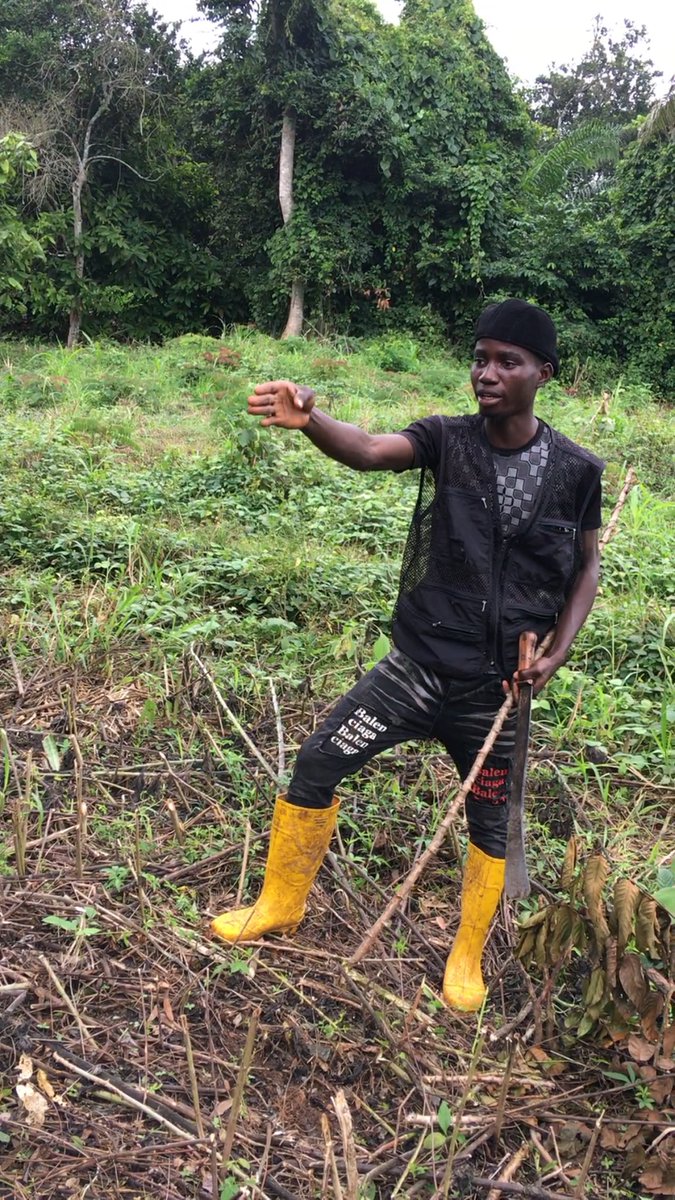 halalcoll12's tweet image. Focus 🧘 🧑‍🌾@highlight
@follower