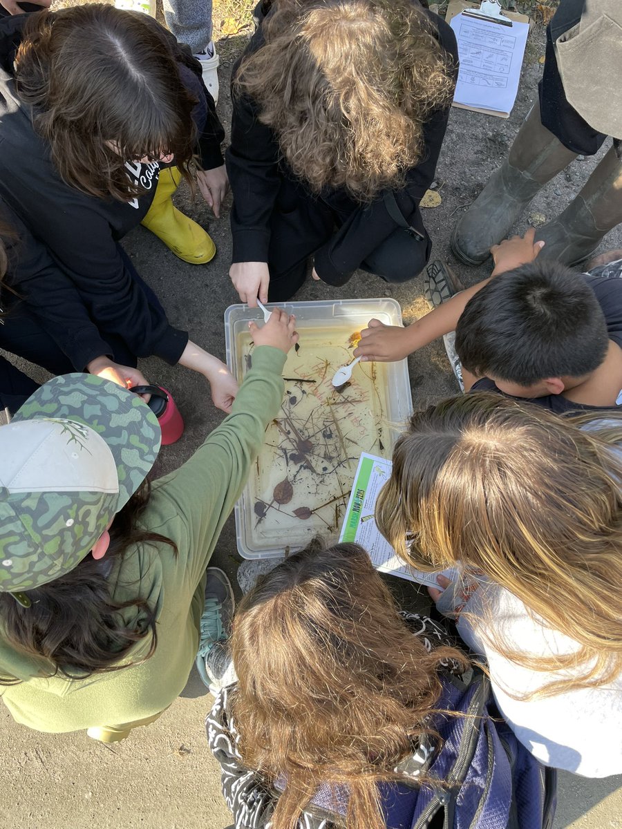 Joette Michelin tweet media