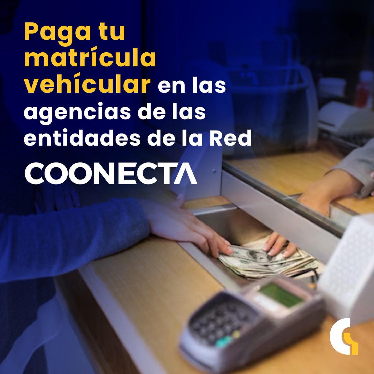 Coonecta Red Transaccional tweet media