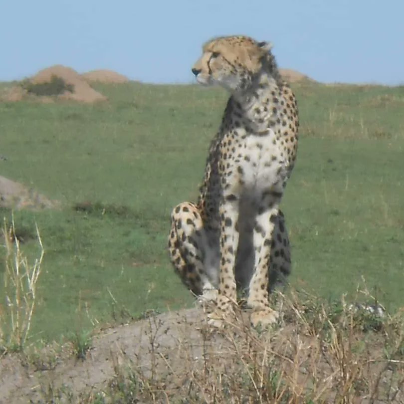 EXPERIENCE ZANZIBAR TOURS AND SAFARIS (@ezanzibar) on Twitter photo 