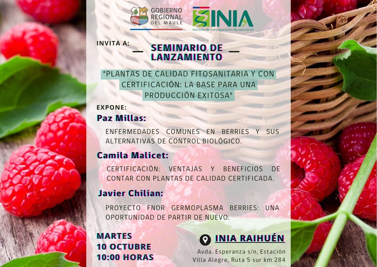 Invitación seminario lanzamiento Proyecto FNDR  <a href="/iniachile/">INIA Chile</a> <a href="/GOREMaule/">Gobierno Regional Del Maule</a> "Transferencia generación banco germoplasma para obtención de plantas de calidad de frambuesa y frutillas", martes 10 de octubre a las 10.00 hrs en <a href="/INIARaihuen/">INIA RAIHUÉN</a> en Villa Alegre.