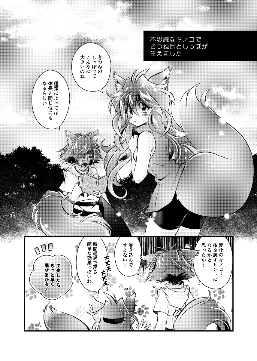 きつね耳もふもふする話(1/2)(ゼルリナ/途中まで) 