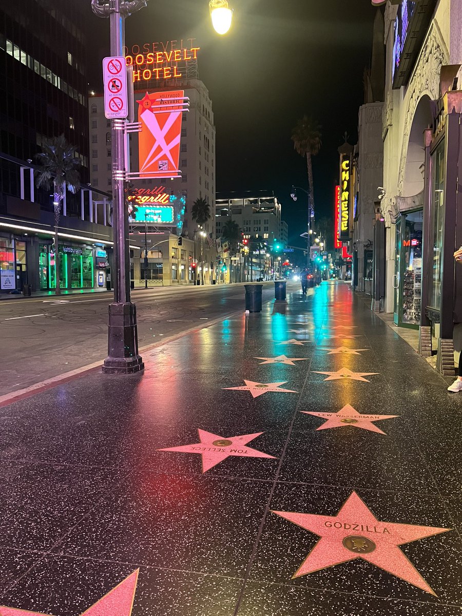 энэ гудамжид өид өнөөдөр киноны нээлтээ хийнэ 🤩🇺🇸 хэдэн сарын туршид хүсч, мөрөөдөж, төсөөлж байсан тэр зүйлийнхээ биелэлийг харна гэхээс догдлоод л байна