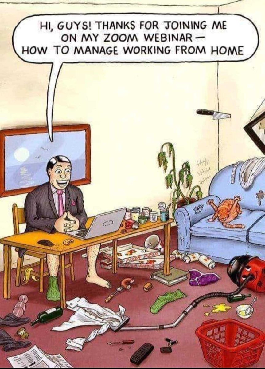 We all know that someone don’t we? 😂

Have a great weekend folks ✌️

#FridayFunnies #Funny #Zoom #WFH #WorkFromHome #Work #Webinar #WorkMemes #OfficeHumour #InternetHumour #Dank #Memes #DankMemes #LOL #Humour #TGIF