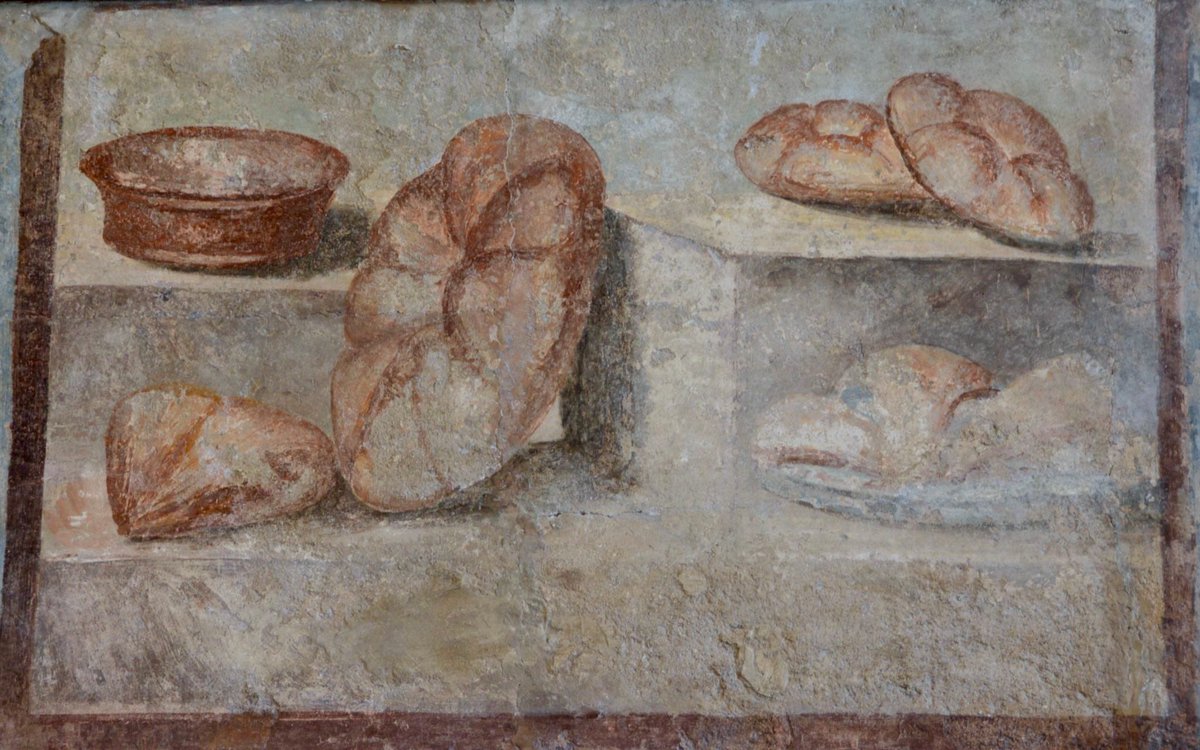 What Pompeians ate 2000 years ago! Plus a recipe for Panis Quadratus: Ancient Bread of Pompeii! wendyholloway.substack.com/p/what-pompeia…