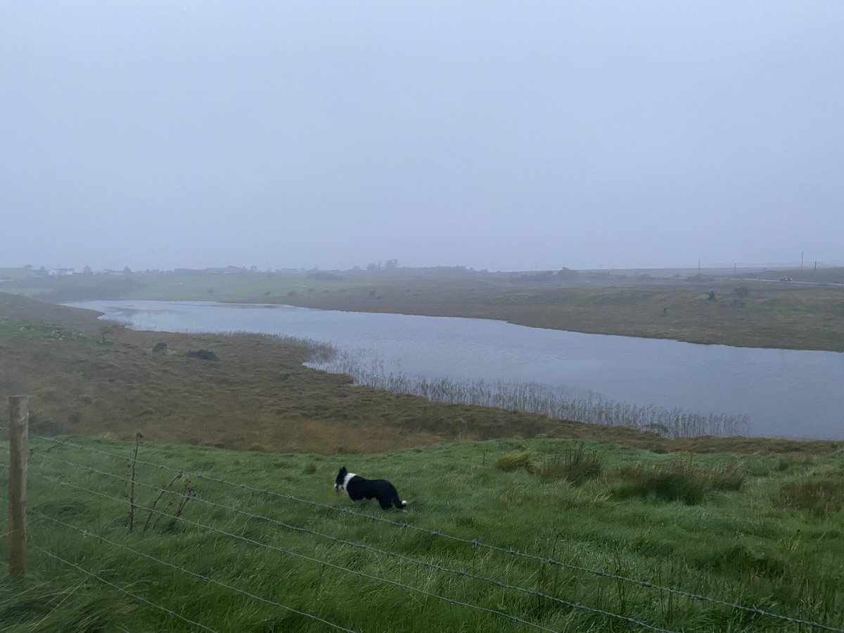 Lá 276/8 #300daysofwalking #round3crew #folláine #Conamara #Gaeilge Droch aimsir ☔️  ach is cuma liom 😀 #LáDomhandanaMúinteoirí #WorldTeachersDay2023  🍎 📚