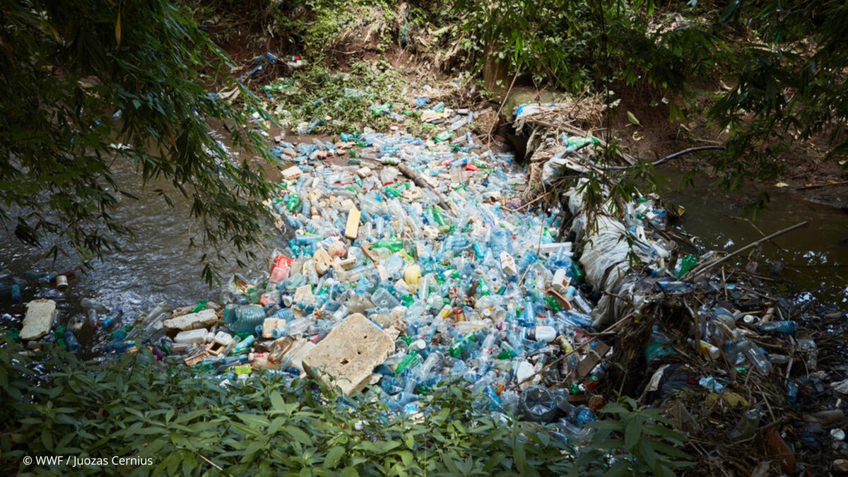 WWF Latinoamérica tweet media