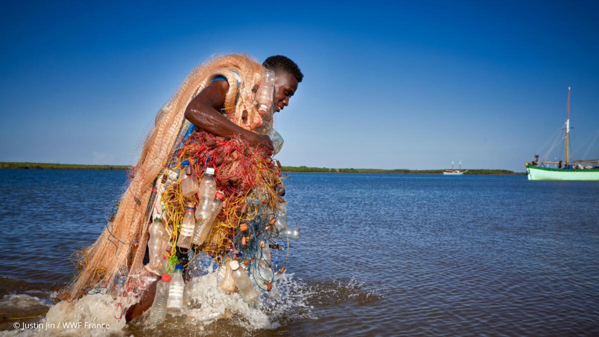 WWF Latinoamérica tweet media