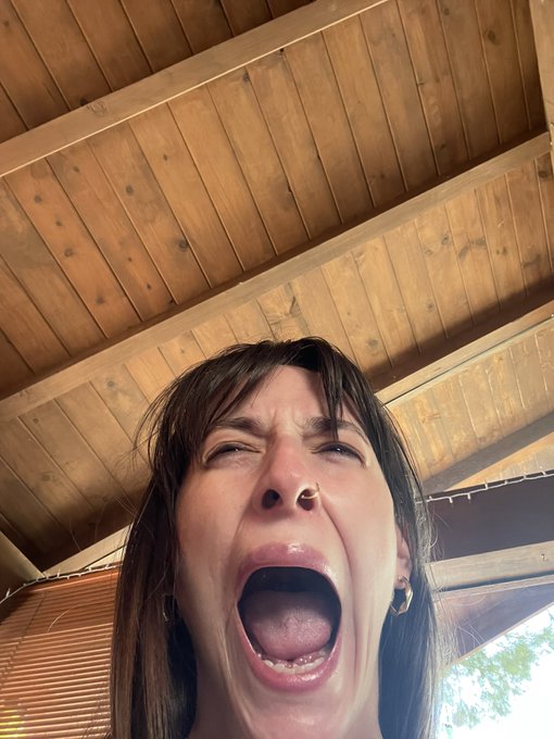 PUZZLE &amp; YAWNING STREAM ON MY SITES https://t.co/cB3p86Bg12<a href="/tag/mvsales"class="tags"><span>#mvsales</span></a>