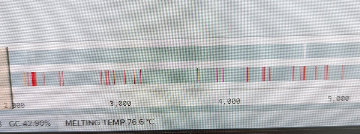 George Aranjuez, PhD 🪰🦠🔬🇵🇭 tweet media
