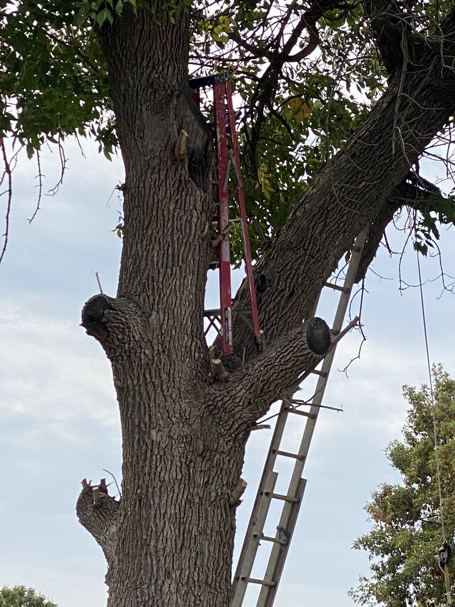 IHSDepot's tweet photo. We have seen this sort of thing on various social media sites but never expected to see it in our own neighbourhood.
#SafetyFirst and #Second https://t.co/tQesgivzfm