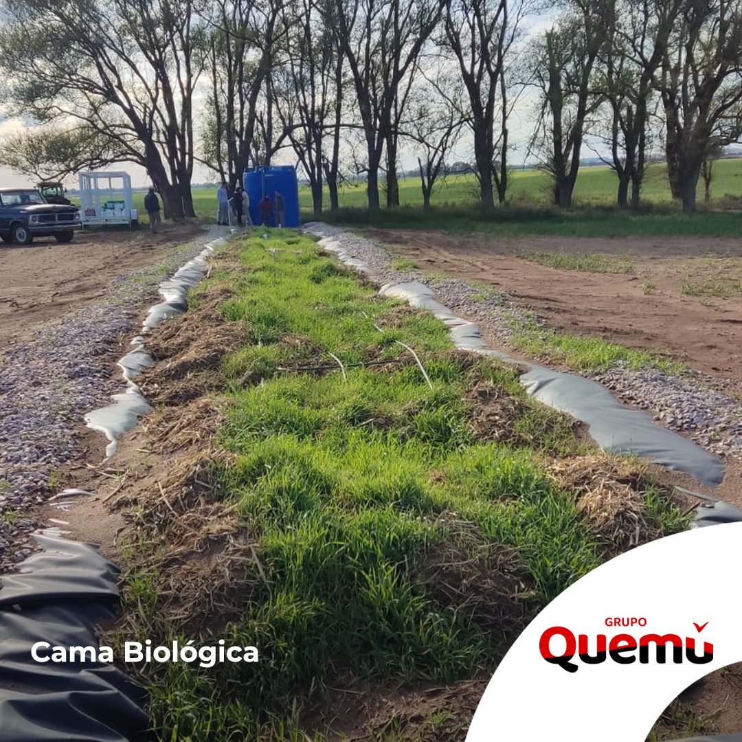Agrobiobeds nos hizo entrega de la Cama Biológica de Aplicación Directa de Ojo de Agua.
La Cama Biológica de Aplicación Directa, es una excavación aislada del suelo mediante una capa protectora impermeable, sobre la cual se deposita la biomezcla.

<a href="/grupoquemu/">Grupo Quemú</a>
