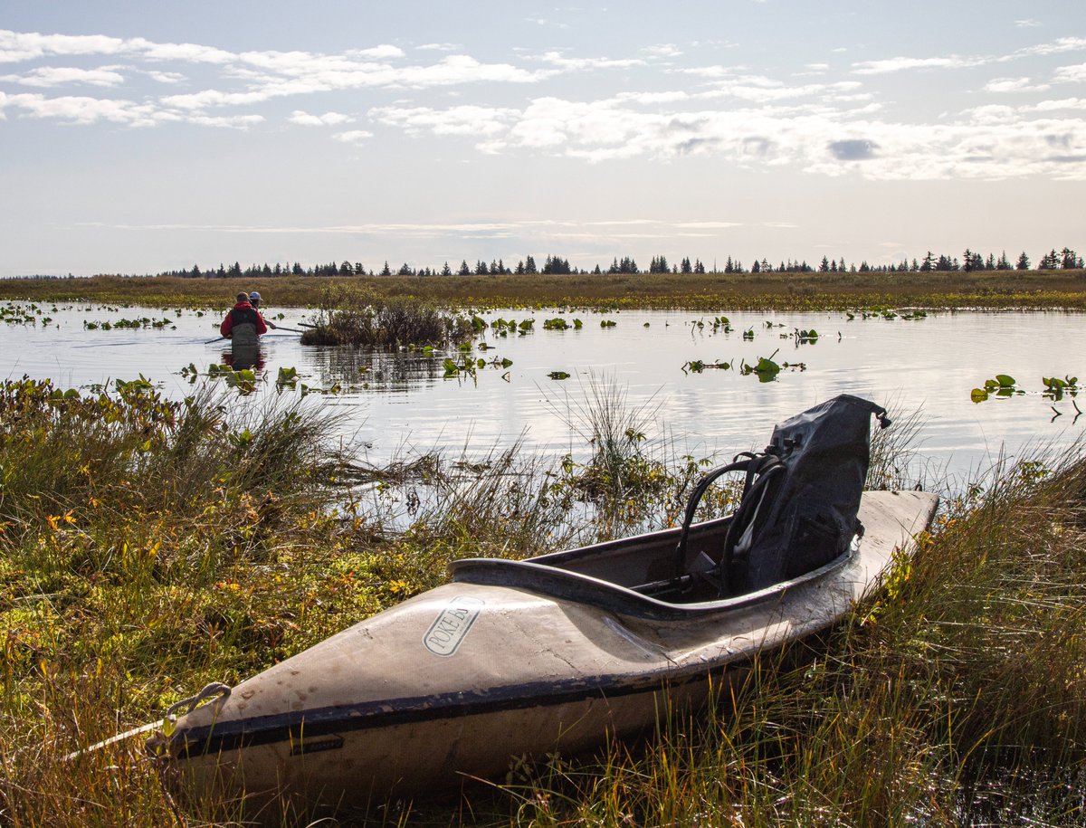Chugach Natl Forest tweet media