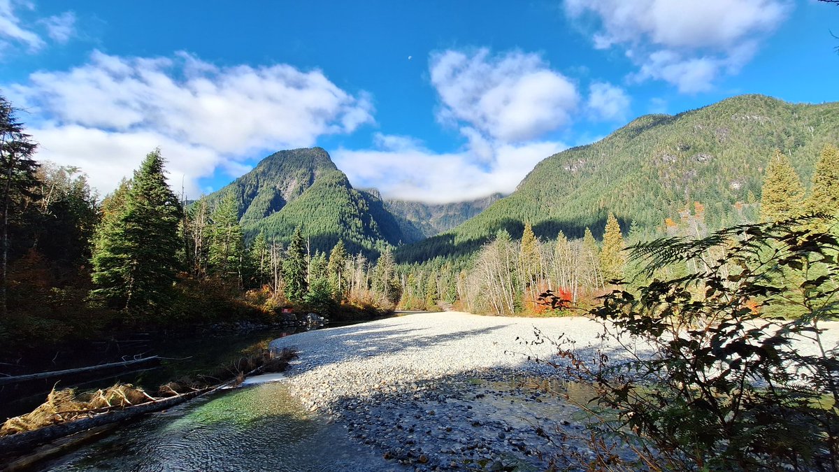 D_C_Nielsen's tweet photo. A perfect day out at Golden Ears Provincial Park for a walk with the @Meadowridge #Grade10 students. #IBSchools #ISABC #TakeMeOutside @takemeoutside #outdoorfun https://t.co/dmdQXa1Vk7