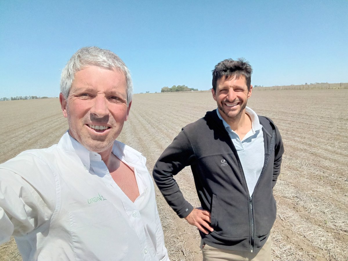 jose_parmigiani's tweet photo. Recorrimos junto a Agronomia San Juan primeros lotes de Acrux PWE, 🌽🌽 FS 22/09 (Chañar Ladeado) Excelente nacimiento. Muchas gracias Pablo!!! 
@ALZ_Agro 
@semillasnord https://t.co/fFuErMJ6Jd