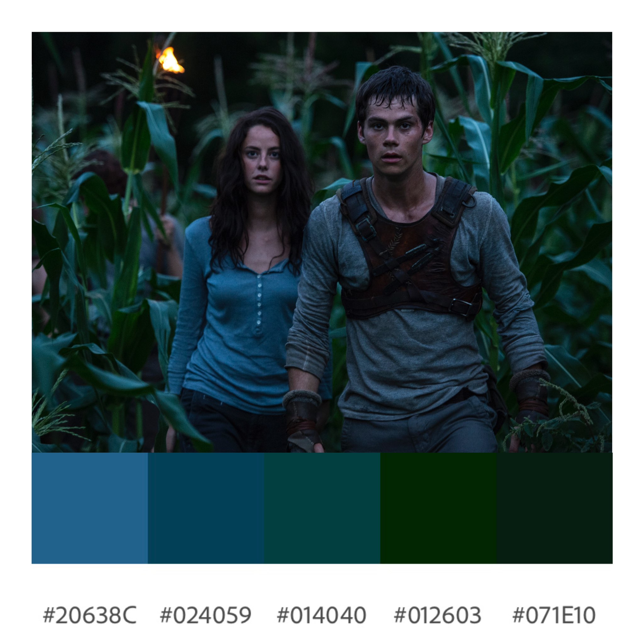 BeckysColourPalettes on X: ✨The Maze Runner (Wes Ball, 2014