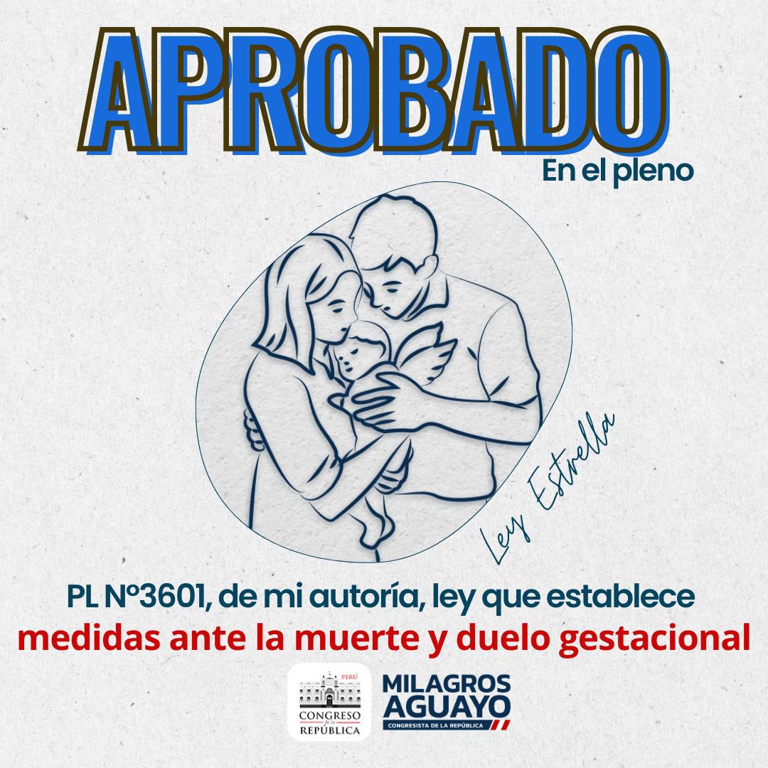 MJAguayo63's tweet photo. 🚨DOBLE TRIUNFO | 1) Se rechazó la reconsideración presentada por la congresista Susel Paredes y 2) Se aprobó la segunda votación del Proyecto de Ley de mí autoría, que ESTABLECE MEDIDAS ANTE LA MUERTE Y DUELO GESTACIONAL (Ley Estrella). https://t.co/92aSLKdNro