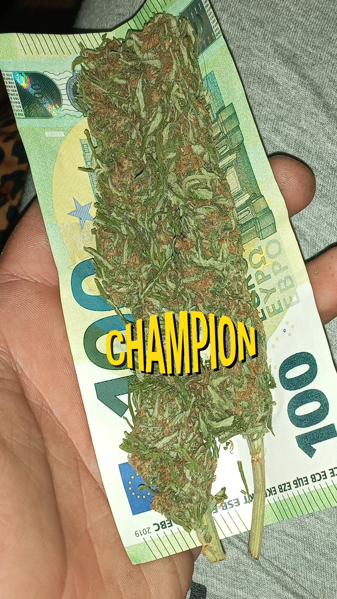 Champion #420