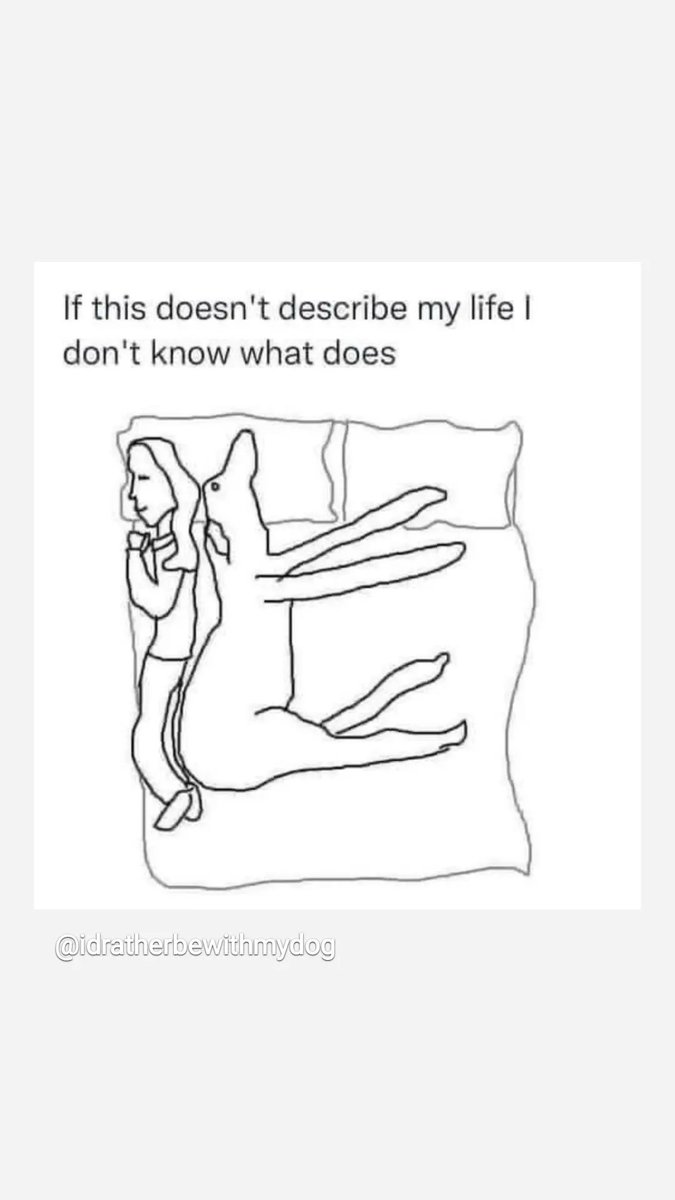#life with a dog #truth